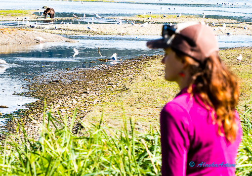 Admiralty Island Bear Viewing